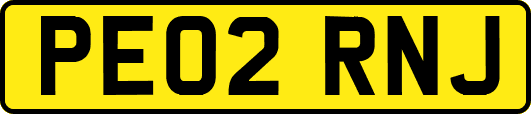 PE02RNJ