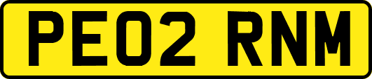 PE02RNM