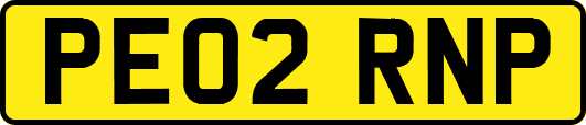 PE02RNP