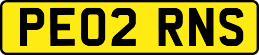 PE02RNS