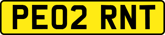 PE02RNT