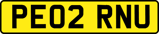 PE02RNU