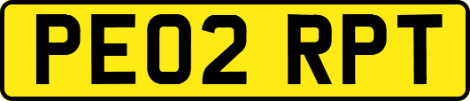 PE02RPT