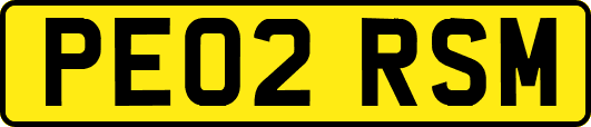 PE02RSM
