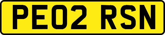 PE02RSN