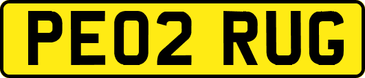 PE02RUG