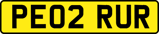 PE02RUR