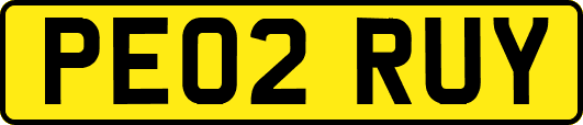PE02RUY