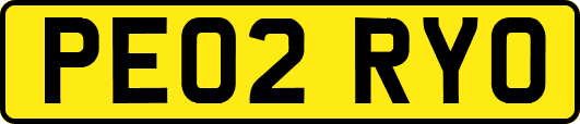 PE02RYO
