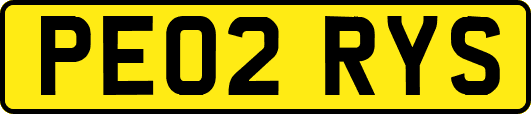 PE02RYS
