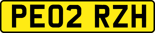 PE02RZH