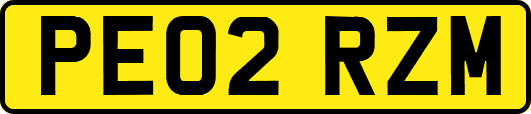 PE02RZM