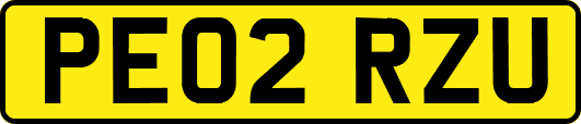 PE02RZU
