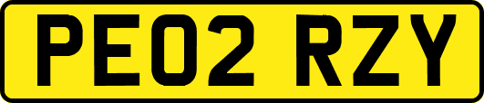 PE02RZY
