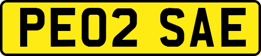 PE02SAE