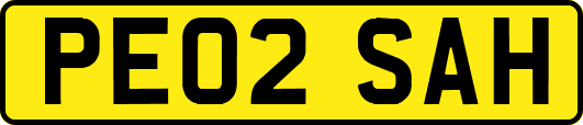 PE02SAH