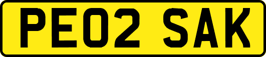 PE02SAK