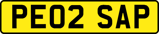 PE02SAP