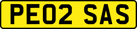 PE02SAS