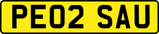 PE02SAU