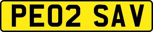 PE02SAV
