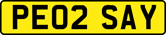 PE02SAY