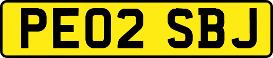 PE02SBJ