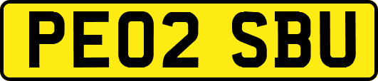 PE02SBU