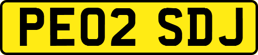 PE02SDJ