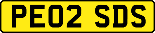 PE02SDS