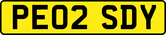 PE02SDY
