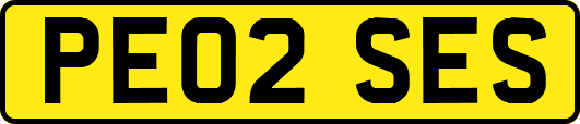 PE02SES