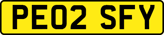 PE02SFY