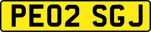 PE02SGJ