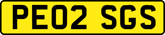 PE02SGS