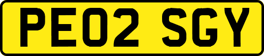 PE02SGY