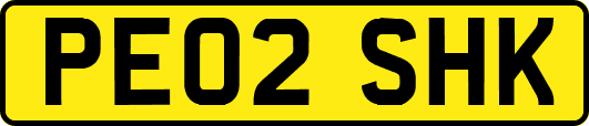 PE02SHK