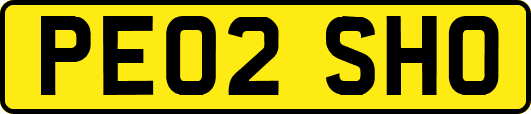 PE02SHO