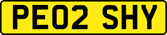 PE02SHY