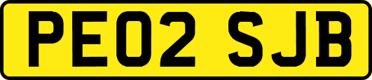 PE02SJB