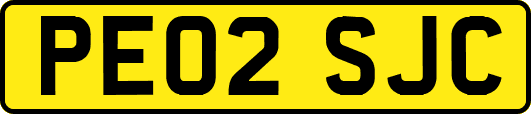 PE02SJC