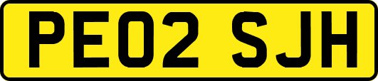 PE02SJH