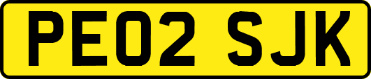 PE02SJK