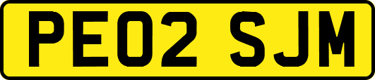 PE02SJM