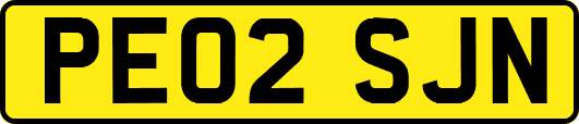 PE02SJN