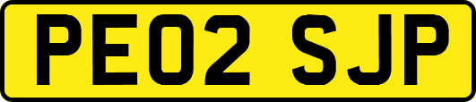 PE02SJP