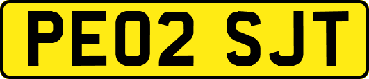 PE02SJT