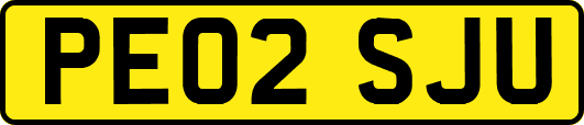 PE02SJU
