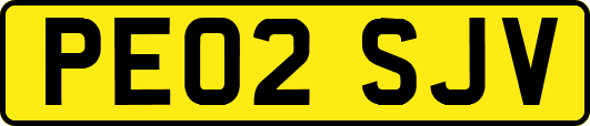 PE02SJV