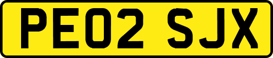 PE02SJX